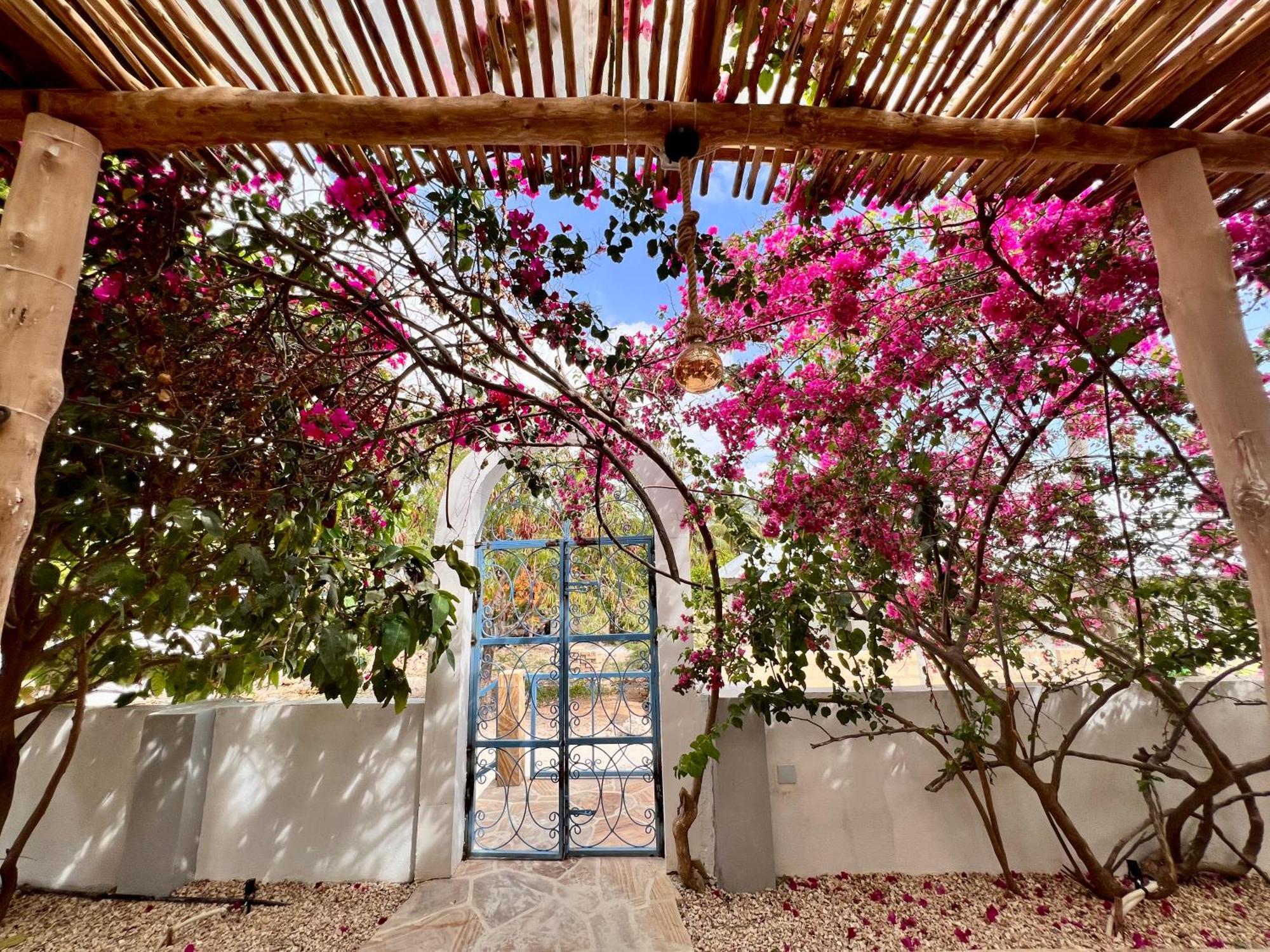 Barabara House Bed & Breakfast จัมเบียนี ภายนอก รูปภาพ